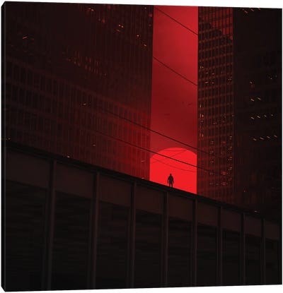 Red Canvas Art Print - Zoltan Toth