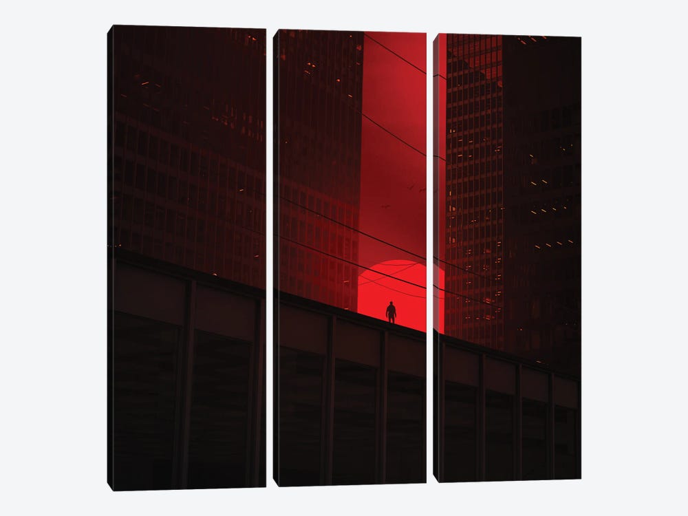 Red by Zoltan Toth 3-piece Canvas Art