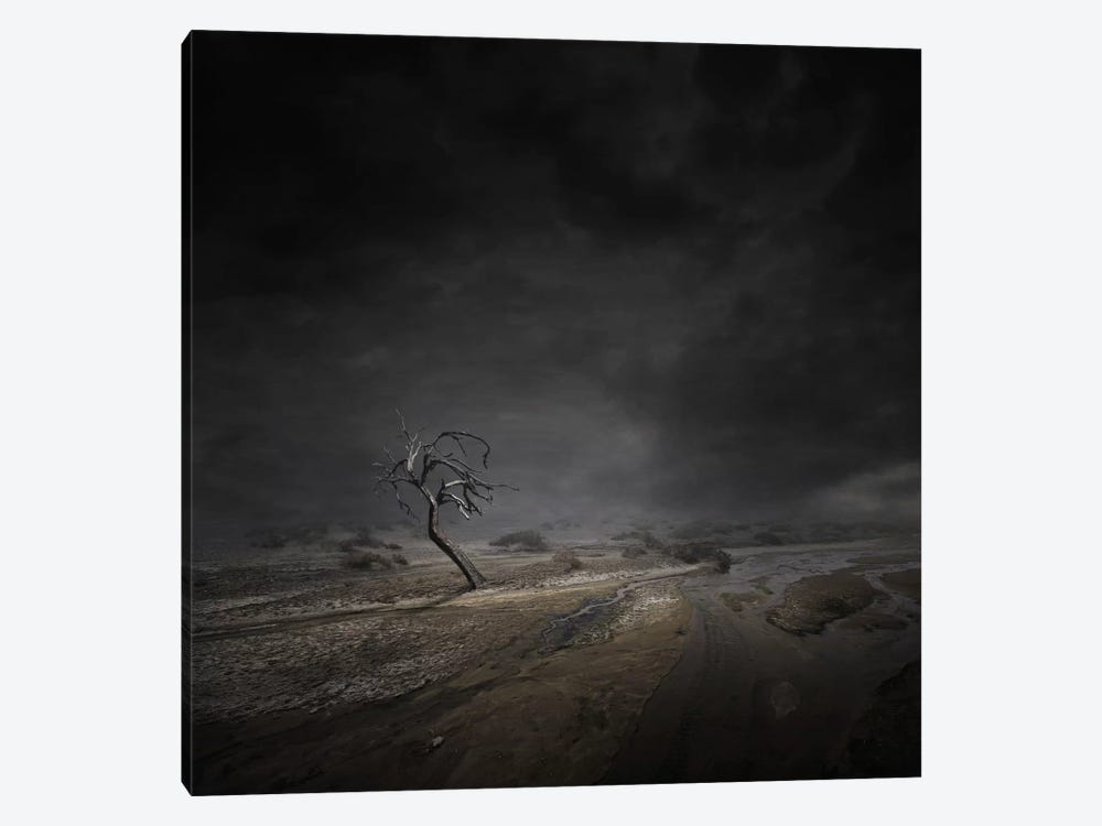 Abandoned by Zoltan Toth 1-piece Canvas Art Print