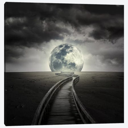 Full Moon Canvas Print #ZOL21} by Zoltan Toth Canvas Artwork