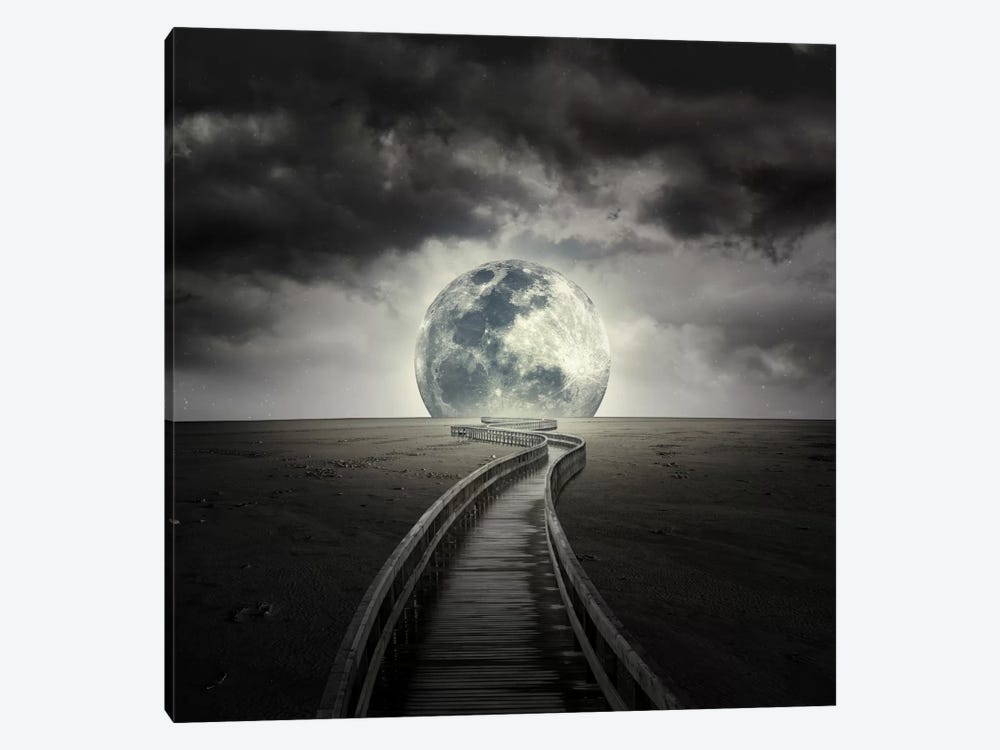 Full Moon by Zoltan Toth 1-piece Canvas Artwork