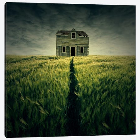 Haunted House Canvas Print #ZOL24} by Zoltan Toth Canvas Print