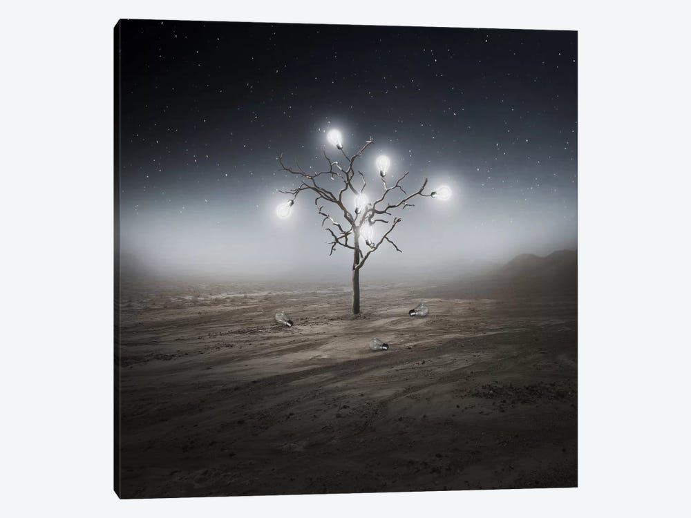 Lights by Zoltan Toth 1-piece Canvas Artwork