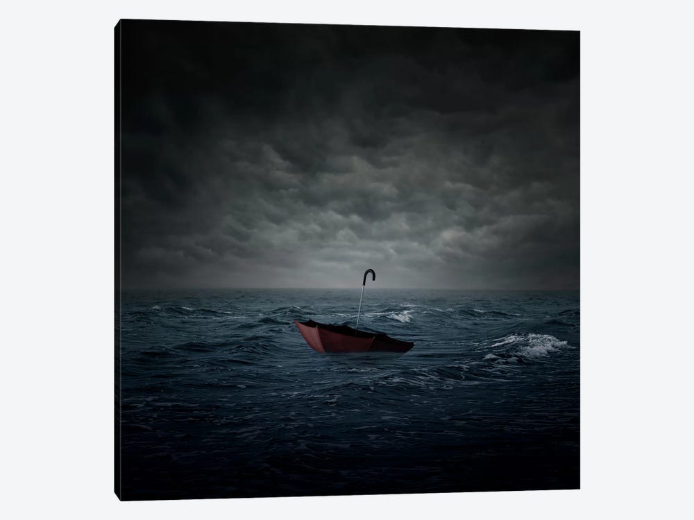 Lost by Zoltan Toth 1-piece Canvas Wall Art