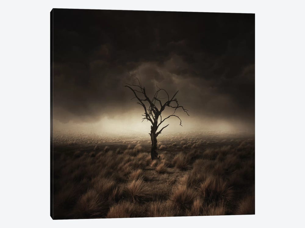 Alone by Zoltan Toth 1-piece Canvas Wall Art
