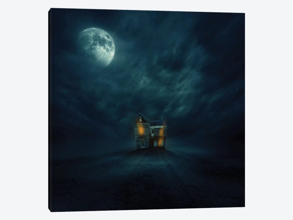 Moonlight by Zoltan Toth 1-piece Canvas Wall Art