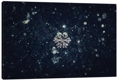 Snowflake Canvas Art Print - Zoltan Toth