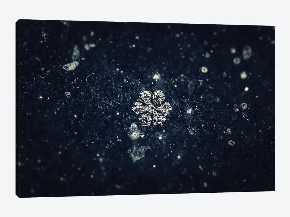 Snowflake by Zoltan Toth 1-piece Canvas Art