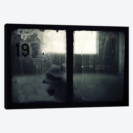 Trapped III Canvas Print #ZOL74} by Zoltan Toth Canvas Artwork