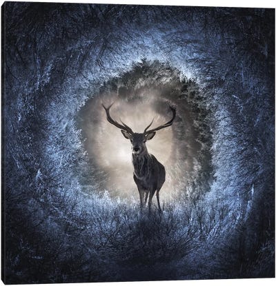 Winter Canvas Art Print - Deer Art