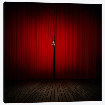 Behind The Curtain Canvas Print #ZOL7} by Zoltan Toth Canvas Art
