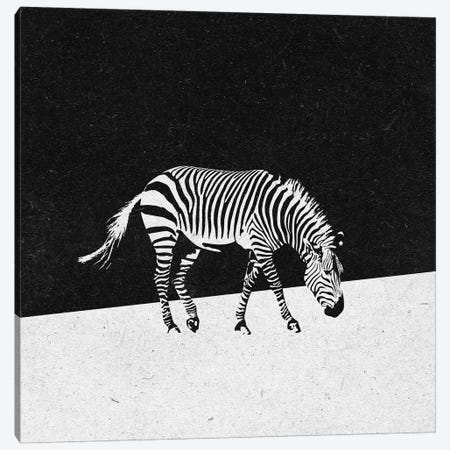 Zebra Canvas Print #ZOL80} by Zoltan Toth Canvas Art