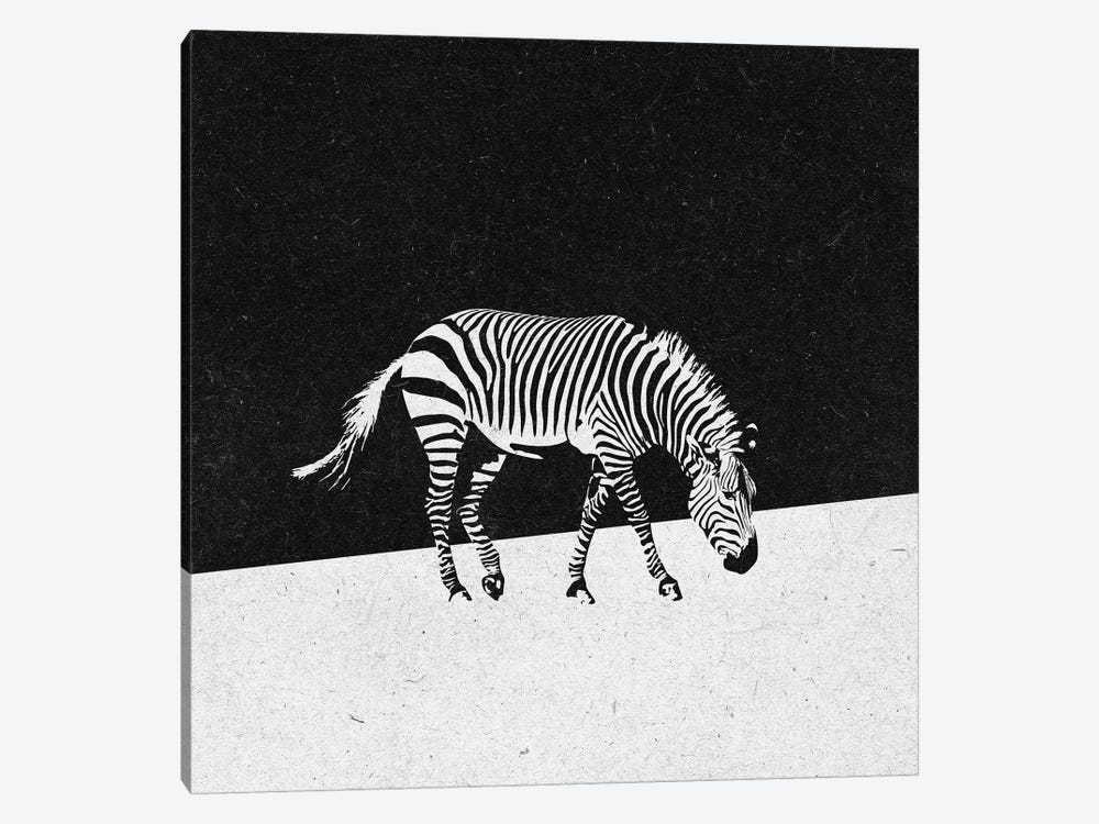 Zebra by Zoltan Toth 1-piece Canvas Art Print