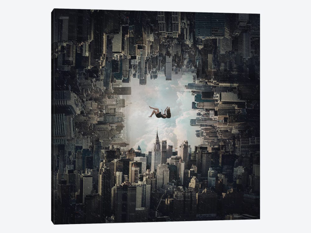 Falling by Zoltan Toth 1-piece Canvas Artwork