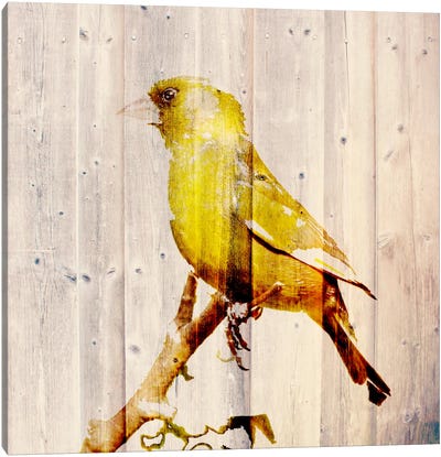 Golden Days Canvas Art Print - Alternative Zoo