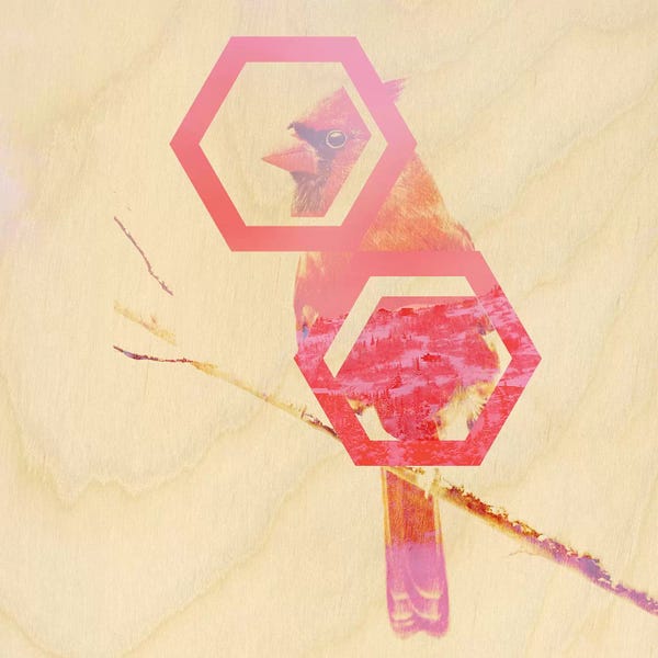 Cardinals: Heartbroken by 5by5collective