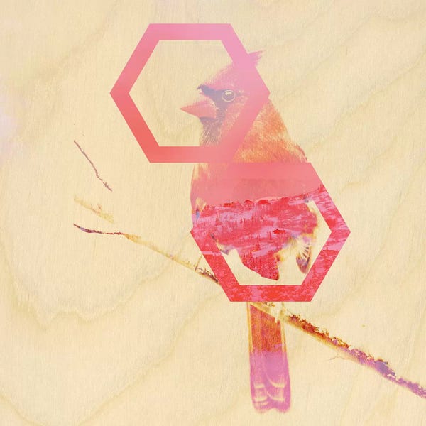 Cardinals: Looking for Love by 5by5collective