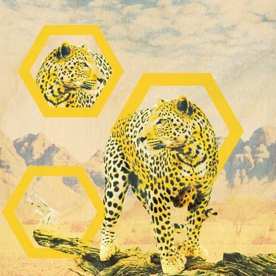 On The Hunt by 5by5collective canvas print