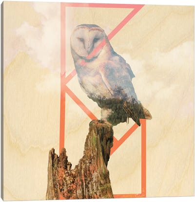 Remain Silent And Unseen Canvas Art Print - Owl Art