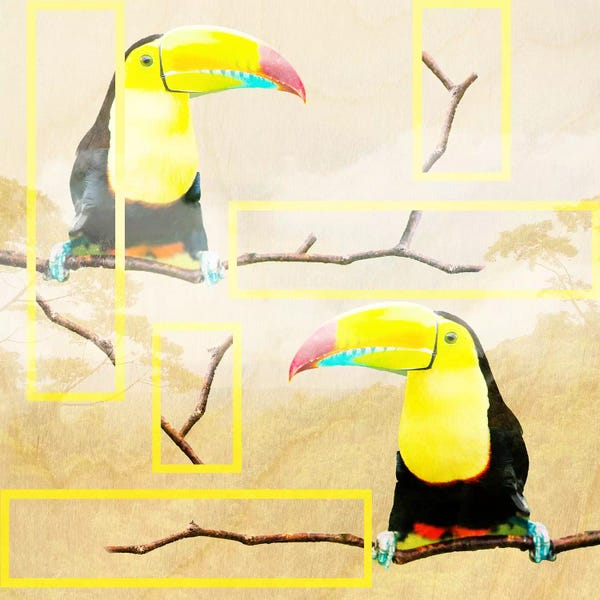 Toucans: Tropical Vibes by 5by5collective