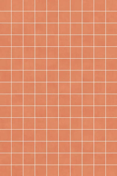 Small Grid Pattern - Coral