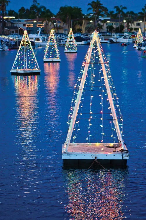 Christmas Trees In The Bay by Zoe Schumacher wall art