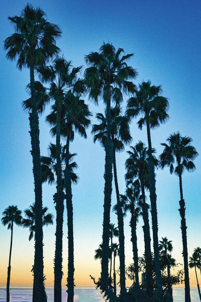 Early Morning California View by Zoe Schumacher framed wall art