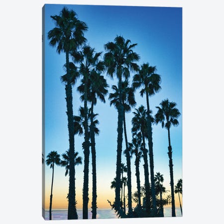 Early Morning California View Canvas Print #ZSC108} by Zoe Schumacher Canvas Print