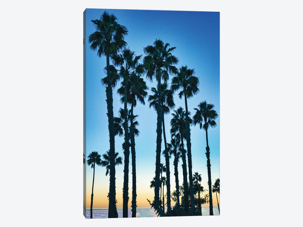 Early Morning California View by Zoe Schumacher 1-piece Canvas Art Print