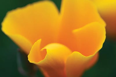 Potential by Zoe Schumacher framed wall art