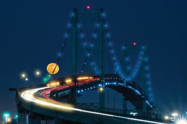 Zoe Schumacher: Full Moon Shines Through by Zoe Schumacher