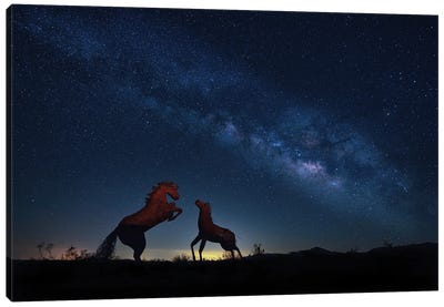 Milky Way Raises Over Borrego Springs Canvas Art Print - Stargazers