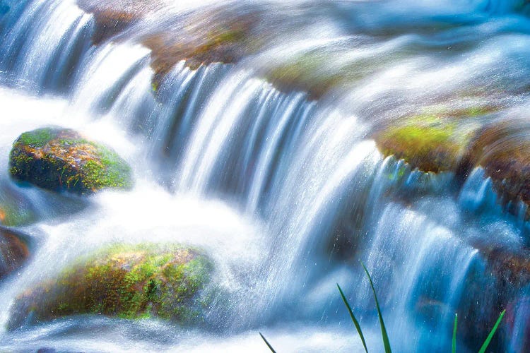 Fern Spring - Yosemite Valley