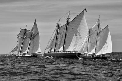 Gloucester Schooner Race In Black And White by Zoe Schumacher canvas print