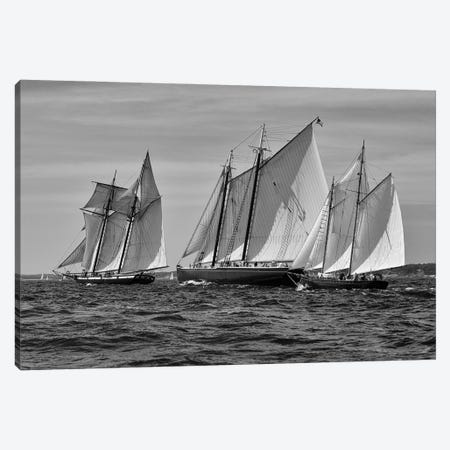 Gloucester Schooner Race In Black And White Canvas Print #ZSC42} by Zoe Schumacher Canvas Art