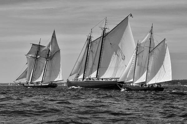 Zoe Schumacher: Gloucester Schooner Race In Black And White by Zoe Schumacher
