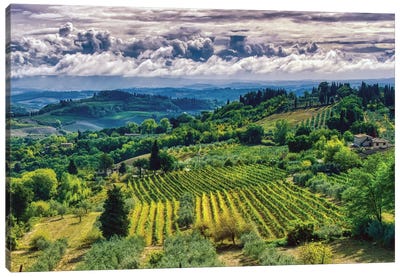 Tuscany Canvas Art Print - Vineyard Art