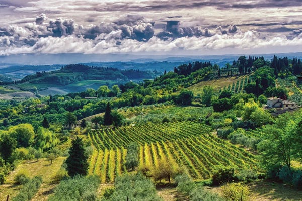 Zoe Schumacher: Tuscany by Zoe Schumacher