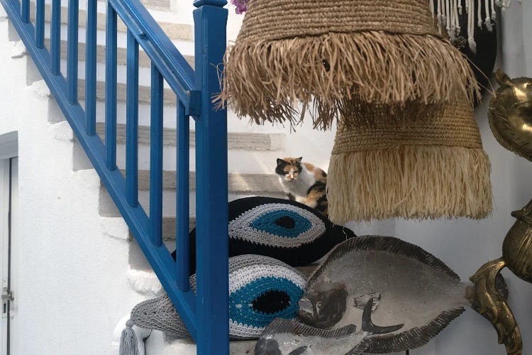 Mykonos Feline by Zoe Schumacher wall art