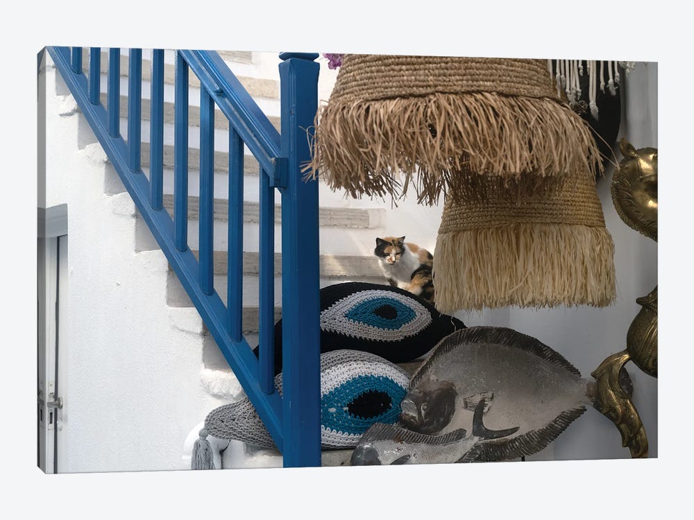 Mykonos Feline by Zoe Schumacher 1-piece Canvas Art Print