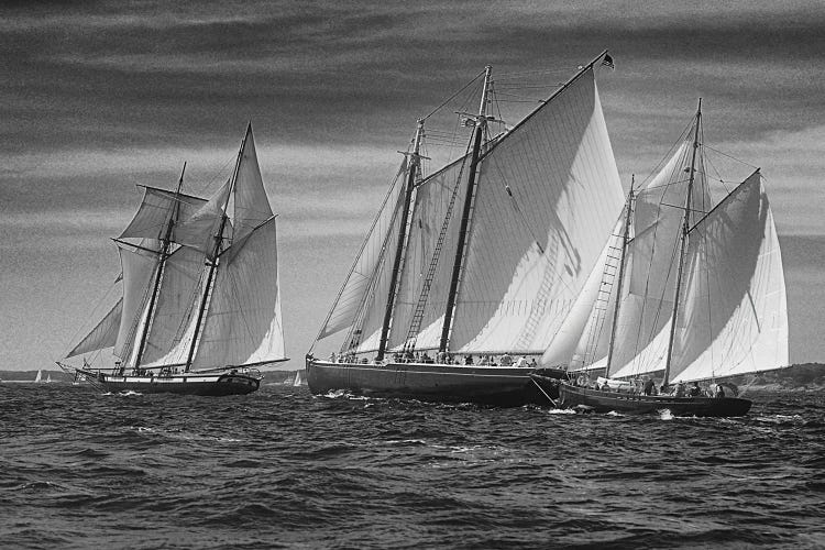 Schooner Race