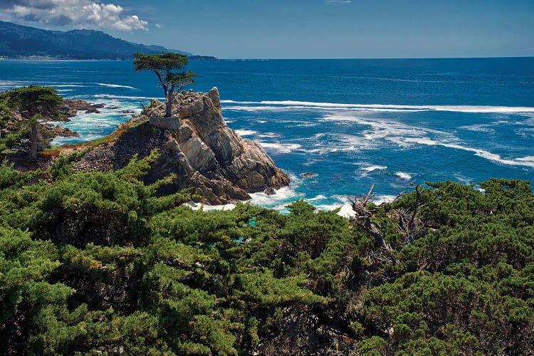 Lone Cypress, Pebble Beach, Ca