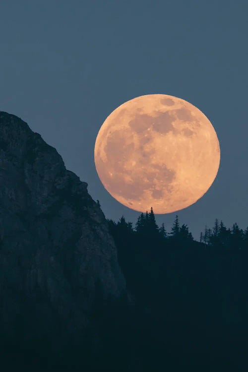 Schafberg, Austria I