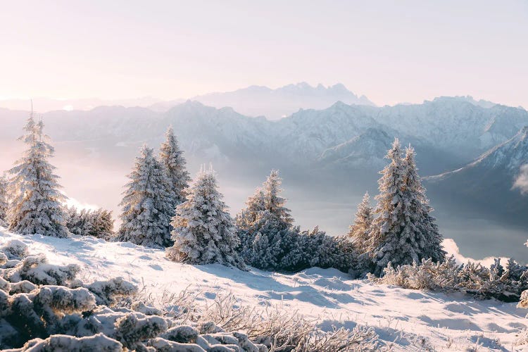 Schafberg, Austria III