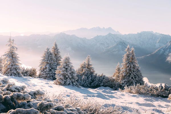 Austria: Schafberg, Austria III by Sebastian Scheichl