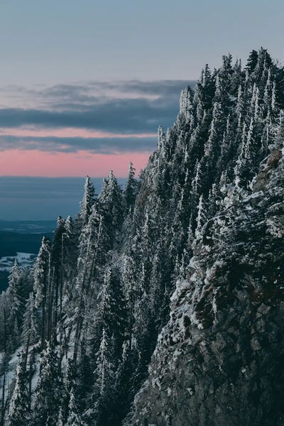 Austria: Schober, Austria by Sebastian Scheichl
