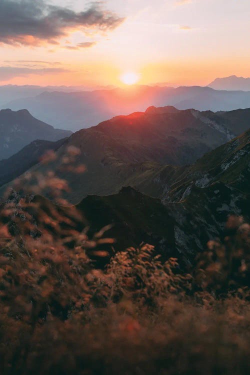 Schuhflicker, Austria