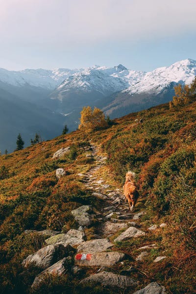 Sebastian Scheichl: Schwaz, Austria by Sebastian Scheichl