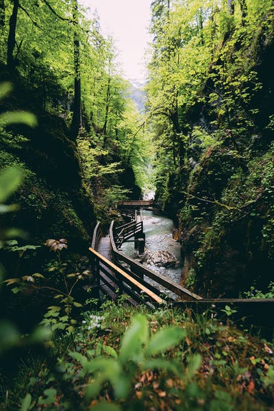 Salzburg: Seisenbergklamm, Austria by Sebastian Scheichl