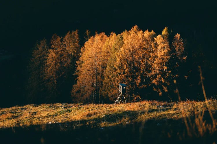 Strobl, Austria II by Sebastian Scheichl wall art